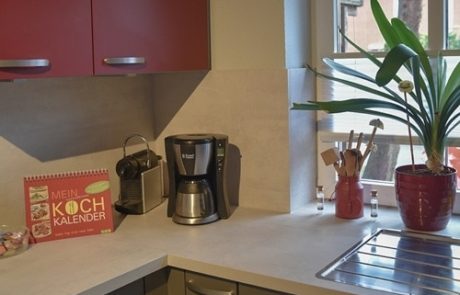 Küchenstudio Eine Küche mit roten Schränken und einer Topfpflanze.