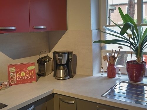 Küchenstudio Eine Küche mit roten Schränken und einer Topfpflanze.